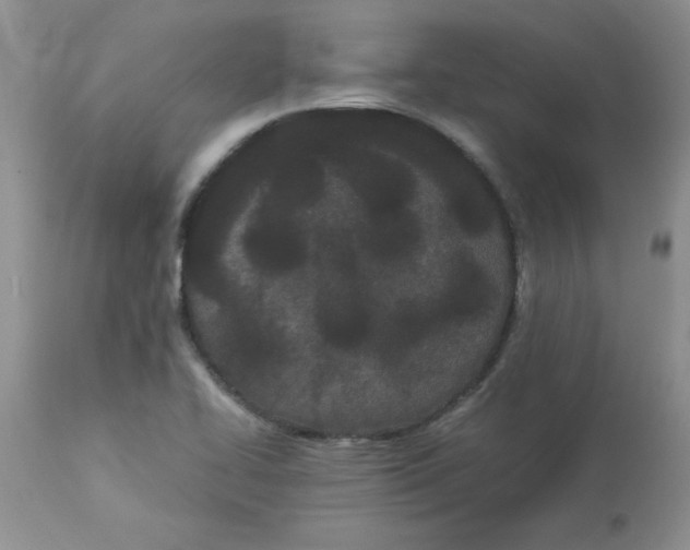 X0000112871414200909181814