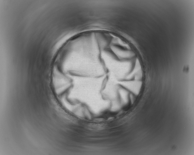 X0000112871415200909181814