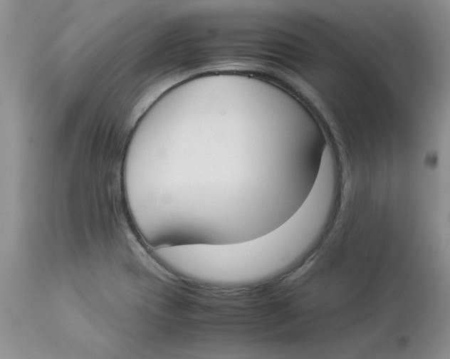 X0000112871417200909181814