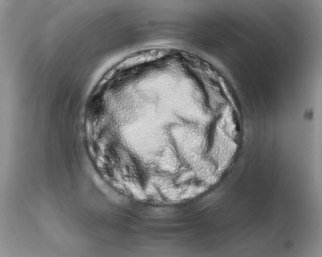 X0000112871421200909181814