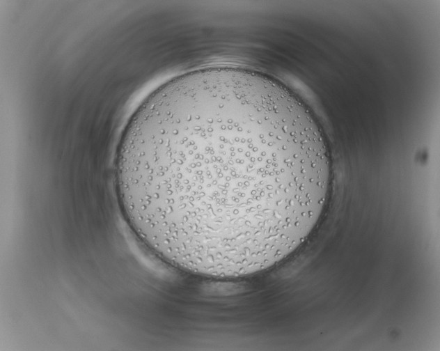 X0000112871427200909181814