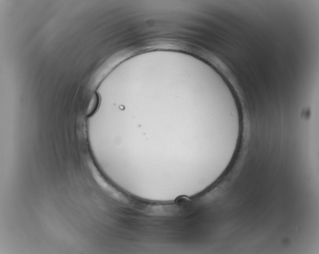 X0000112871433200909181814