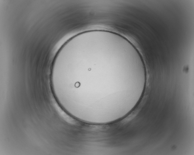 X0000112871438200909181814