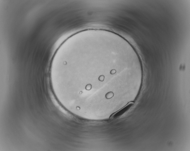 X0000112871440200909181814