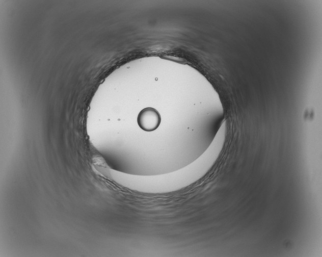 X0000112871441200909181813