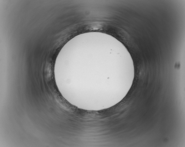 X0000112871442200909181813