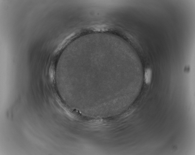 X0000112871444200909181813