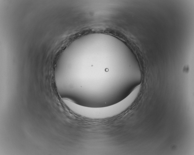 X0000112871445200909181813