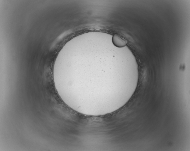 X0000112871446200909181813