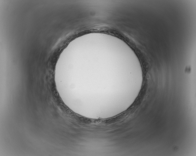 X0000112871447200909181813