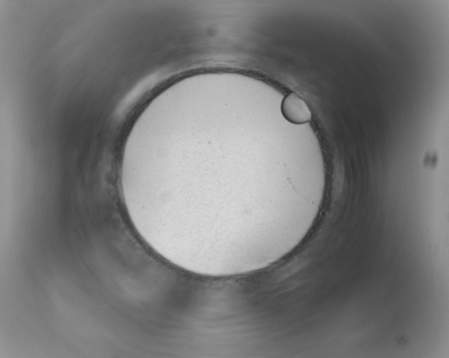 X0000112871454200909181813