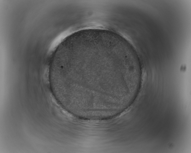 X0000112871455200909181813