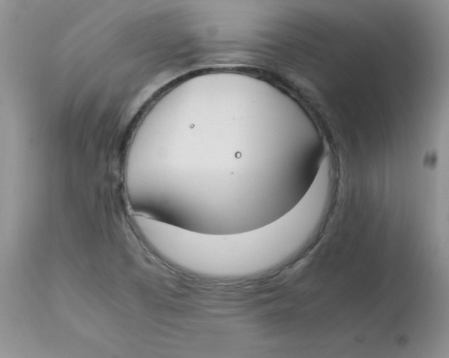 X0000112871457200909181813