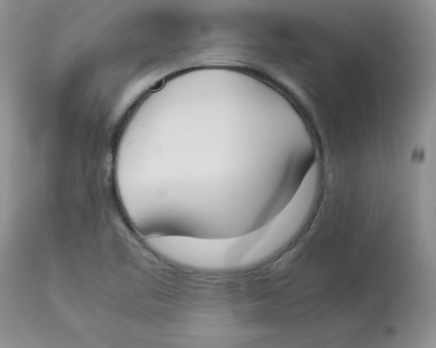 X0000112871461200909181813