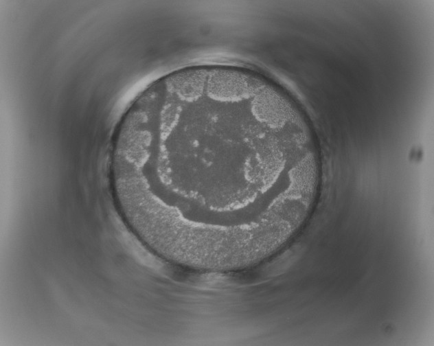 X0000112871463200909181813