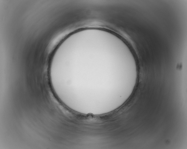 X0000112871464200909181813