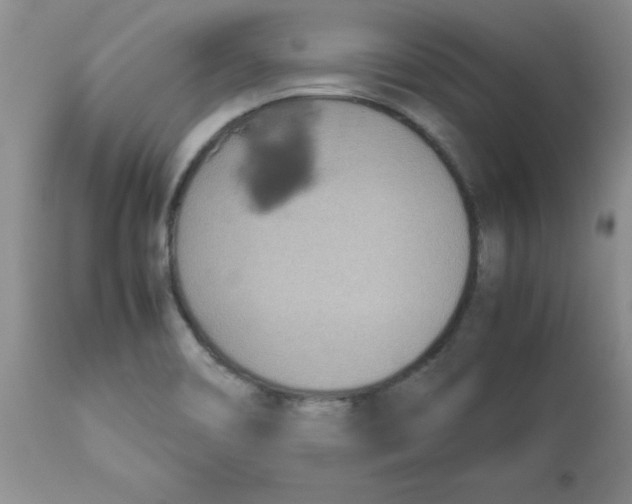 X0000112871466200909181813