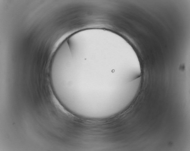 X0000112871468200909181813