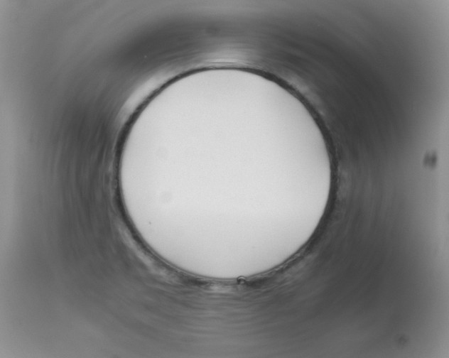 X0000112871469200909181813