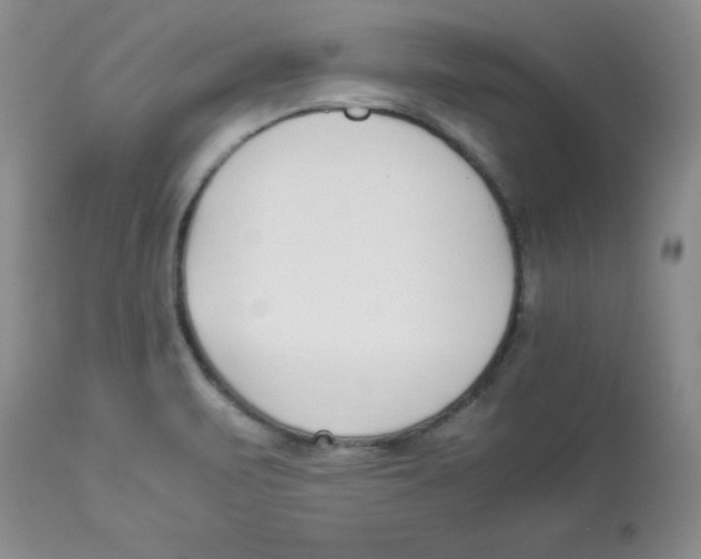 X0000112871471200909181813