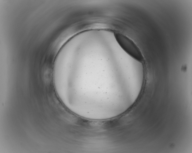 X0000112871473200909181813