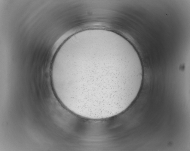 X0000112871474200909181813