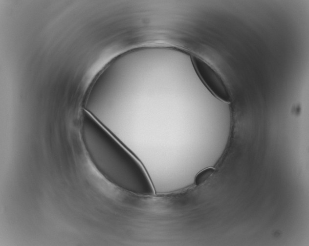 X0000112871476200909181813