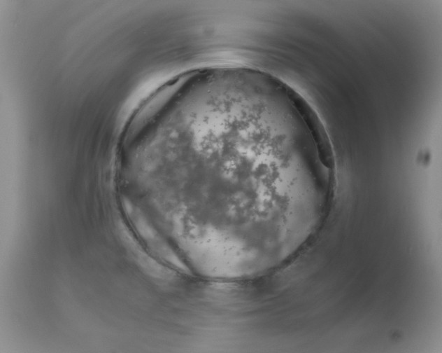 X0000112871477200909181813