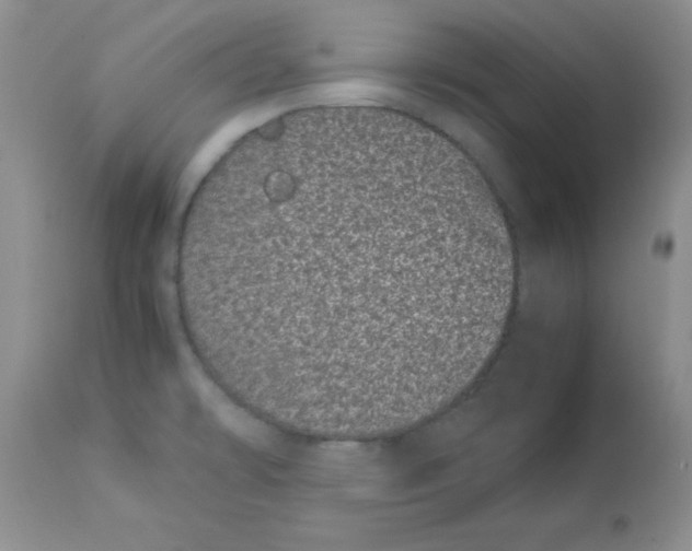 X0000112871478200909181813