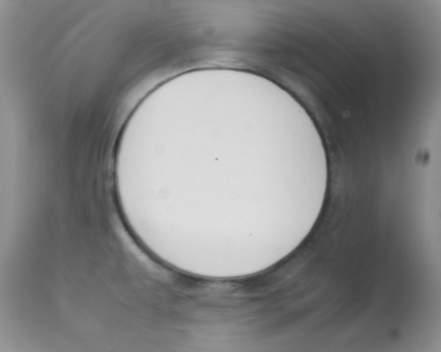 X0000112871479200909181813