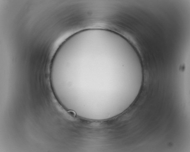 X0000112871480200909181812