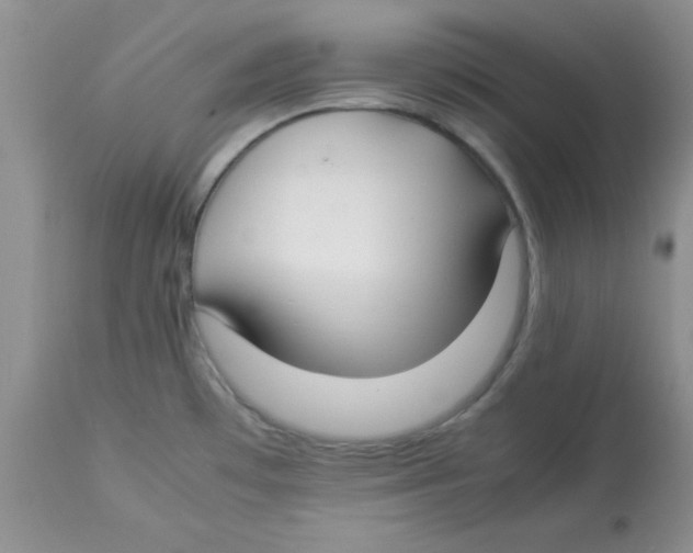 X0000112871481200909181812