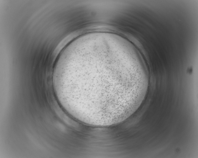 X0000112871482200909181812