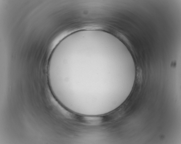 X0000112871487200909181812