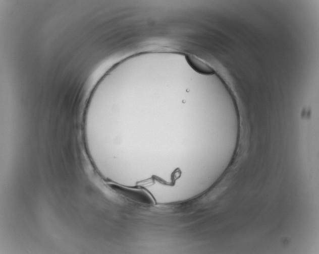 X0000112871488200909181812