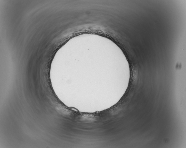 X0000112871489200909181812