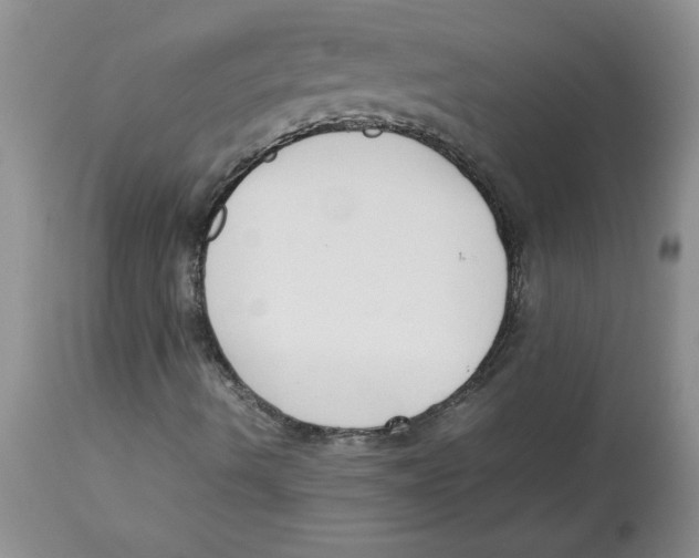 X0000112871490200909181812