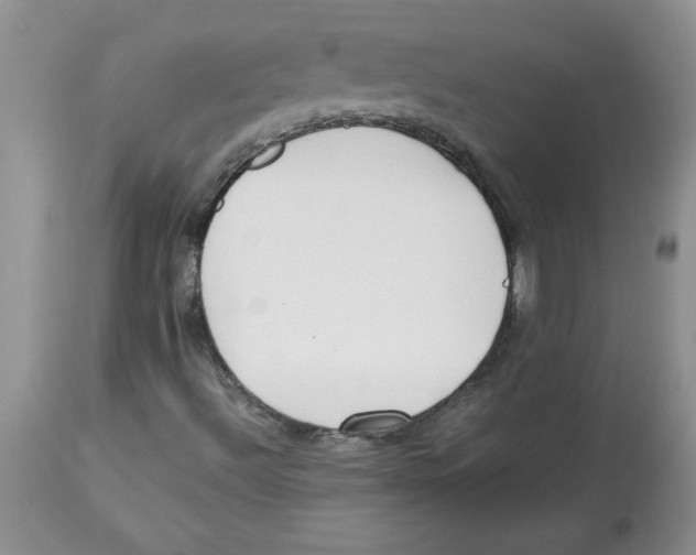 X0000112871492200909181812