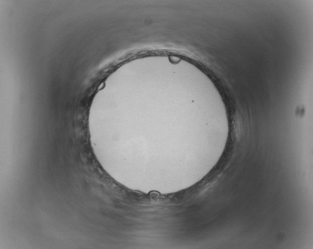 X0000112871494200909181812