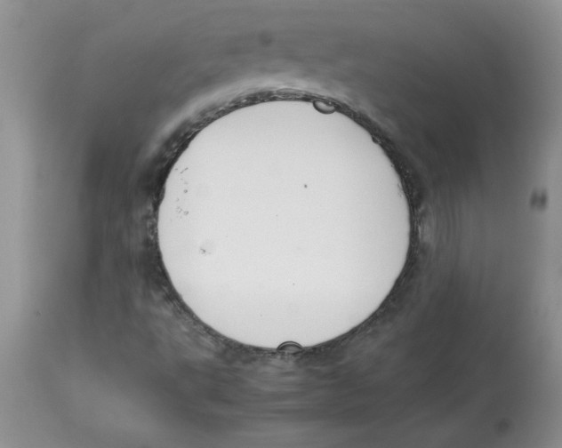 X0000112871495200909181812