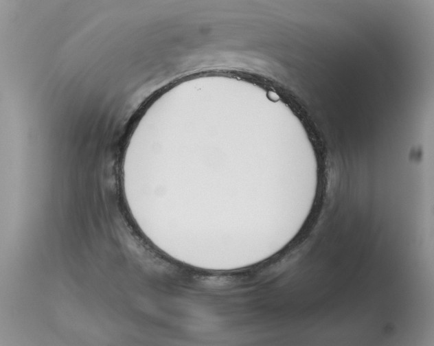 X0000112871497200909181812