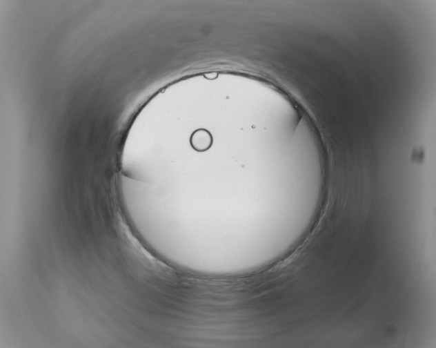 X0000112871500200909181812