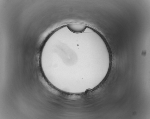 X0000112871503200909181812