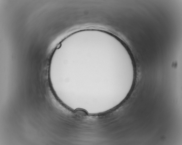 X0000112871504200909181812