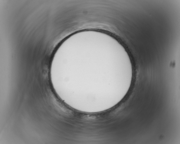 X0000112871505200909181812