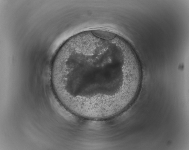 X0000112871506200909181812