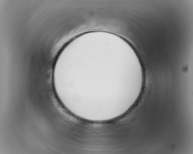 X0000112871507200909181812