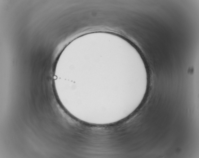 X0000112871508200909181812