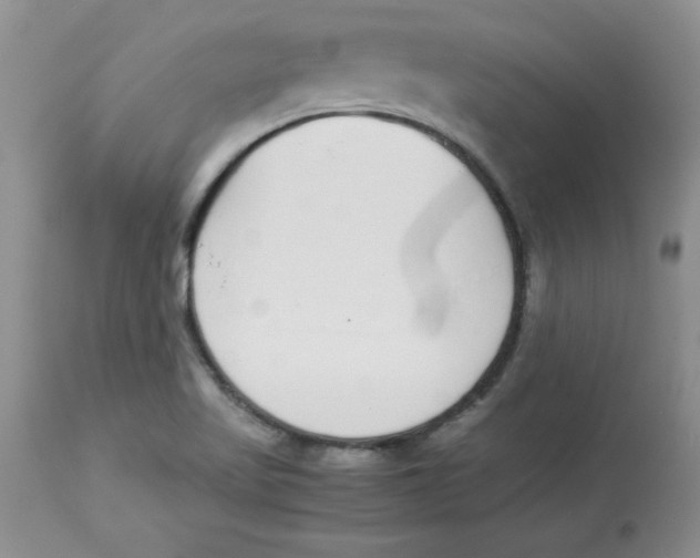 X0000112871509200909181812