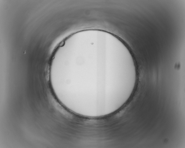 X0000112871510200909181812